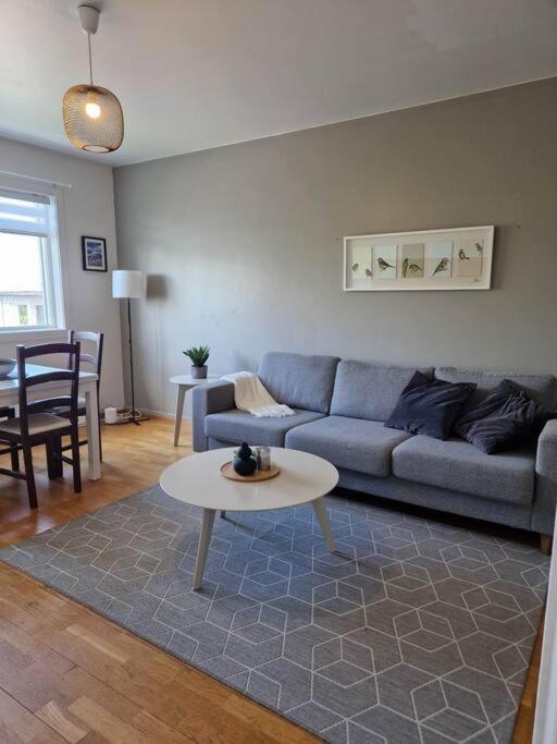 Apartment In Downtown Reykjavik Ngoại thất bức ảnh