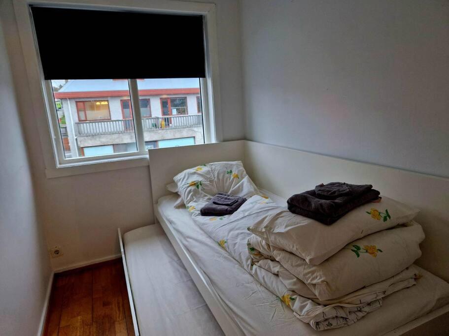 Apartment In Downtown Reykjavik Ngoại thất bức ảnh