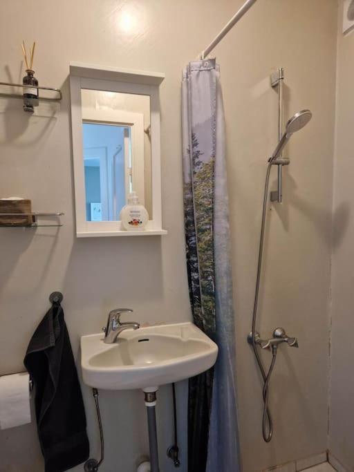 Apartment In Downtown Reykjavik Ngoại thất bức ảnh